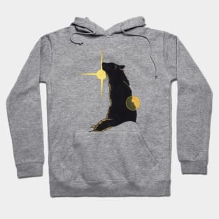 Sunlit Wolf Design Hoodie